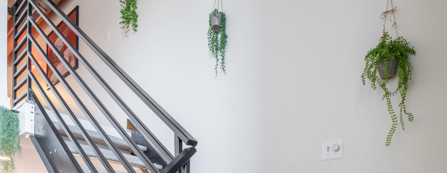 a staircase with a plant on the side