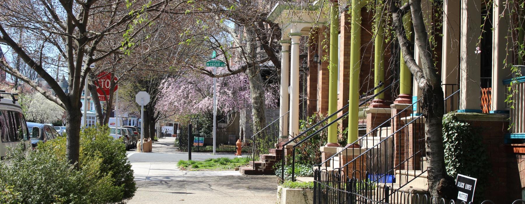 a sidewalk with trees and buildings on the side